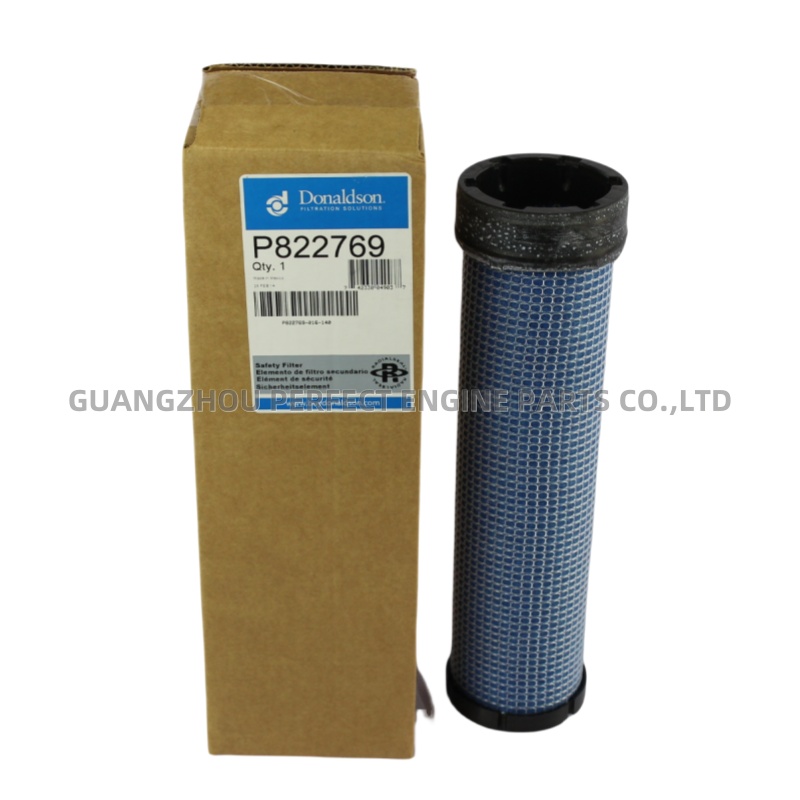 Air Filter P822769